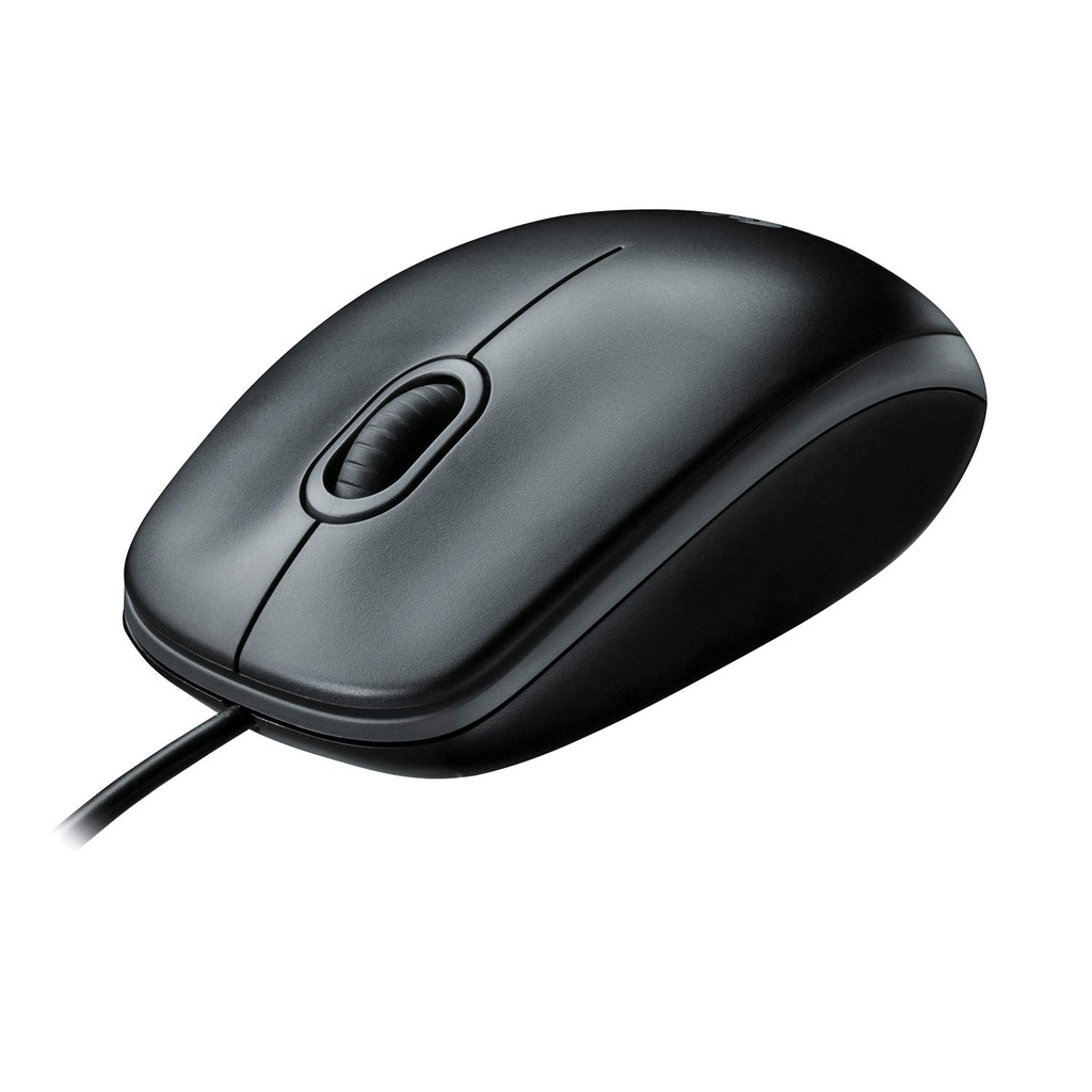 RATON USB LOGITECH B100 SERIES