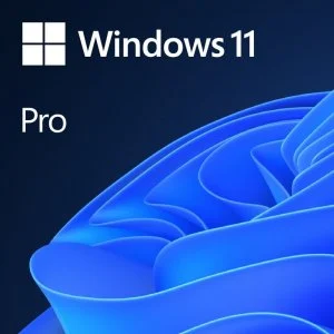 SOFTWARE WINDOWS 11 PRO OEM COA 2023