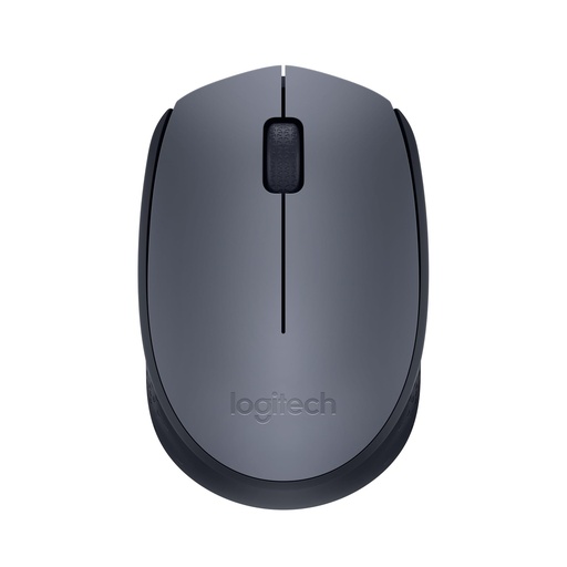 [Z012928] RATON INALAMBRICO LOGITECH M170
